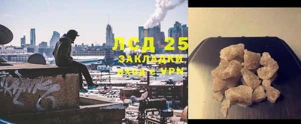 СК Алексин