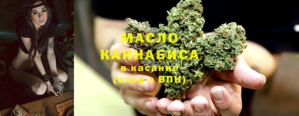 СК Алексин