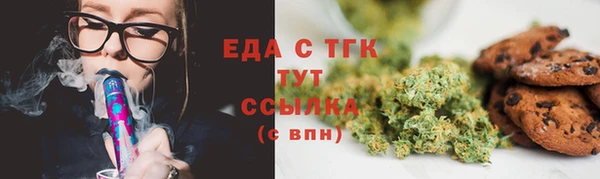 СК Алексин