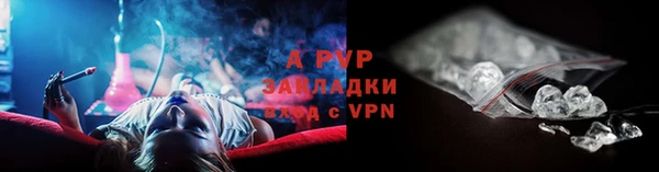 СК Алексин