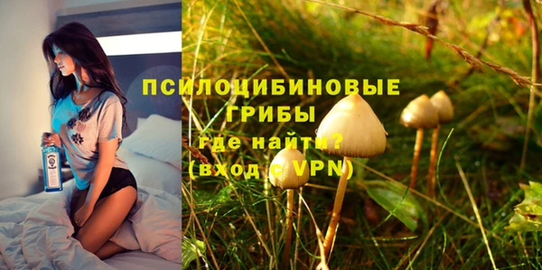 PSILOCYBIN Абдулино