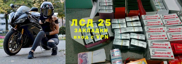 гашик Алзамай