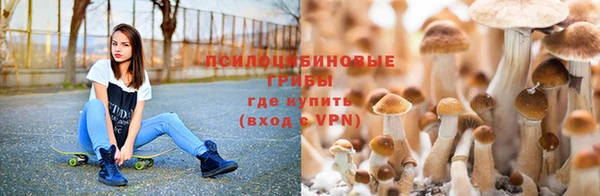 СК Алексин