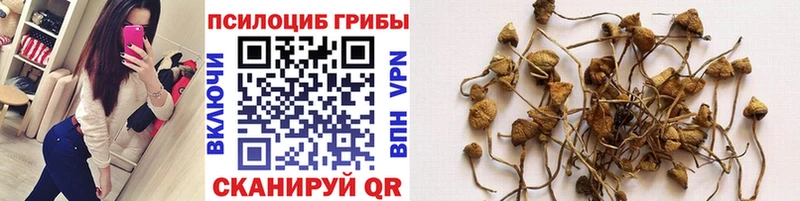 Галлюциногенные грибы GOLDEN TEACHER  Татарск 